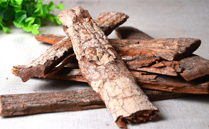 樹(shù)皮 樹(shù)皮