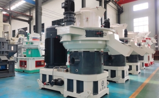 鋸末顆粒機生物質顆粒，將會改變普通人民的生活！