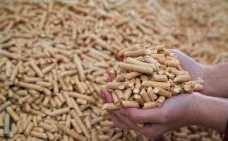 鋸末顆粒機生物質顆粒，你需要知道的常識問題