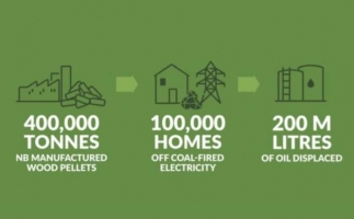 本地木屑顆粒是滿(mǎn)足能源需求的明智和負(fù)責(zé)任的解決方案